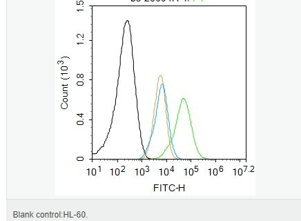 6052b73128793.png image.png