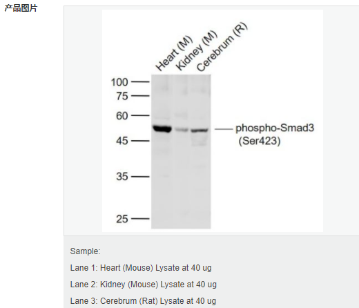 6058470691525.png image.png