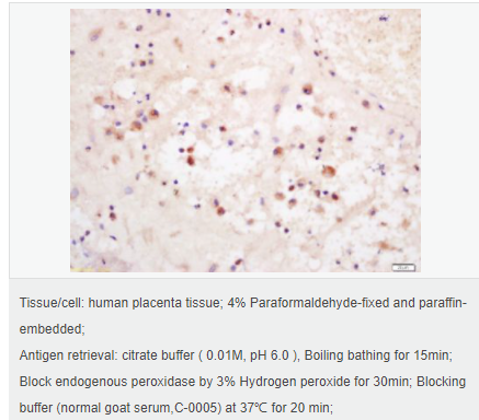 605942abc76c6.png image.png