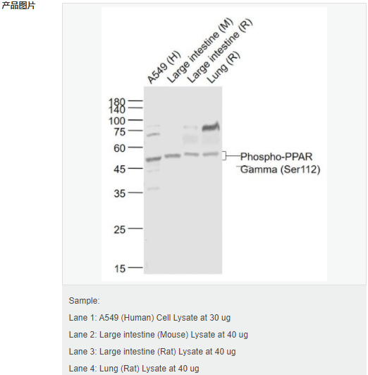 605952c64f7ad.png image.png