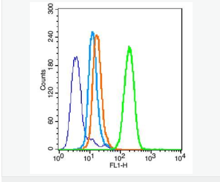 60657c0509caa.png image.png