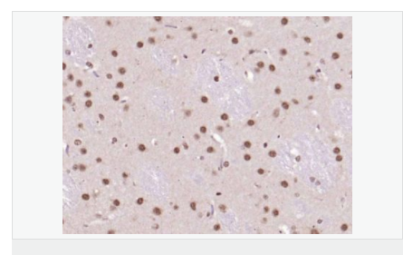 606689e3e7397.png image.png