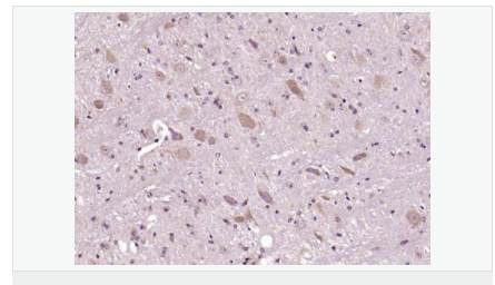 606bcbc85c012.png image.png