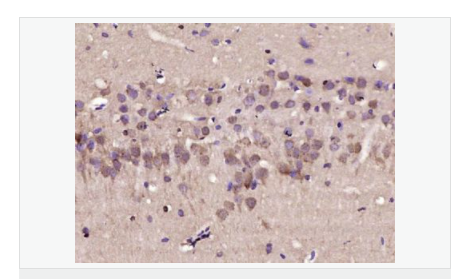 607643e966b61.png image.png