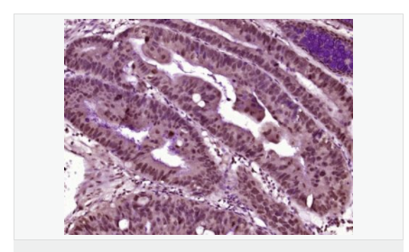 607649e5d5ea0.png image.png