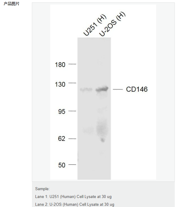 60769c7fa0894.png image.png